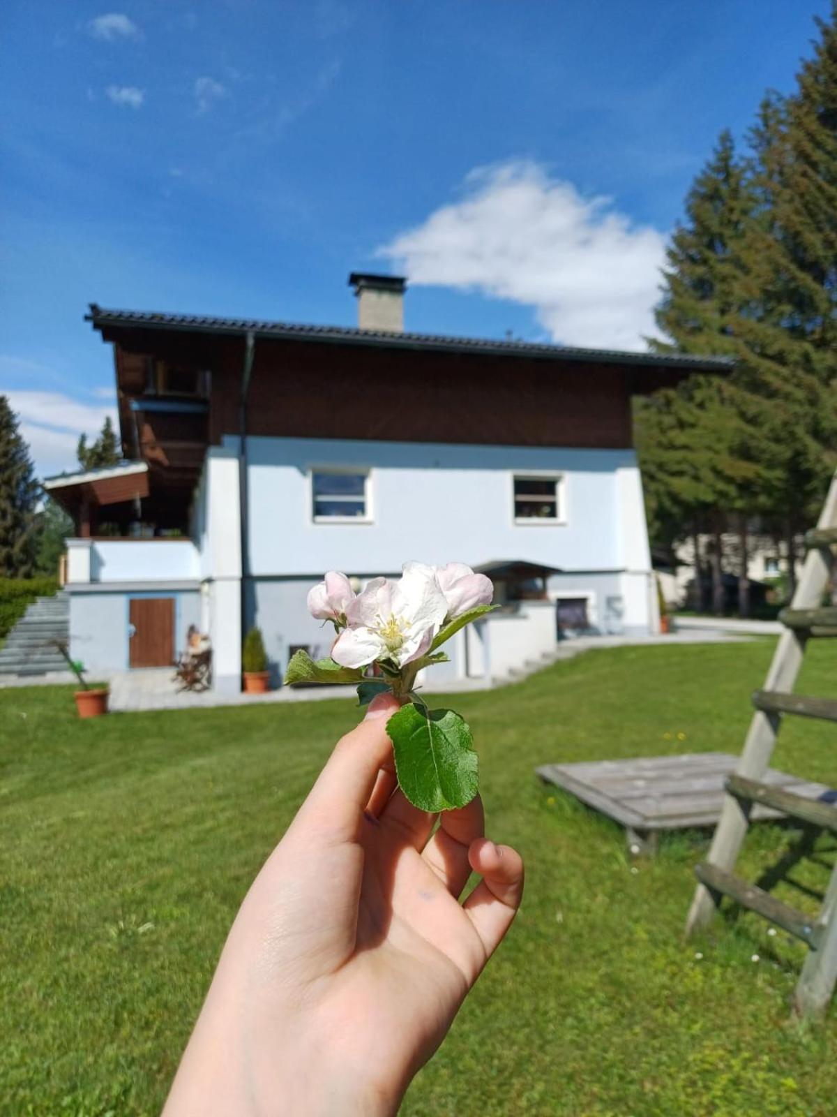 Appartements Am See Neukirchen am Großvenediger Dış mekan fotoğraf